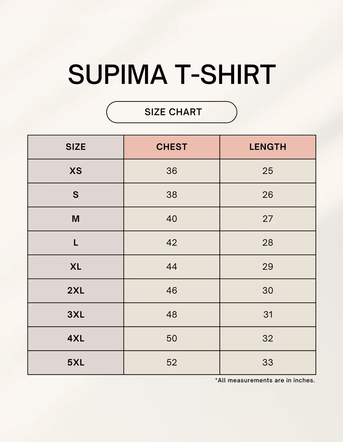 Paradise Regular Fit T-Shirt size chart